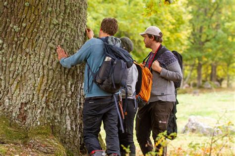 Naturv Rdesinventering Nvi Calluna