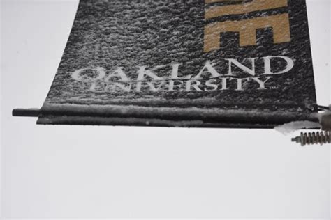 Oakland University Mistakenly Tells 5500 Students They Won A Nearly