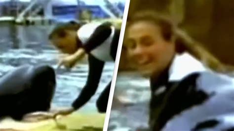 Shocking Footage Shows Seaworld Trainers Final Moments Before Orca