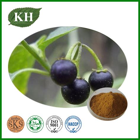 Belladonna Extract Belladonna Extract Hyoscyamine 16 Alkaloids