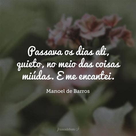 Frases De Manoel De Barros Para Se Encantar Seus Poemas Words