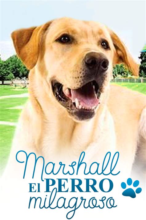 Marshal El Perro Milagroso Aventuras Nerd