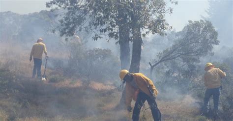 Más de 9 mil hectáreas afectan incendios forestales en Puebla