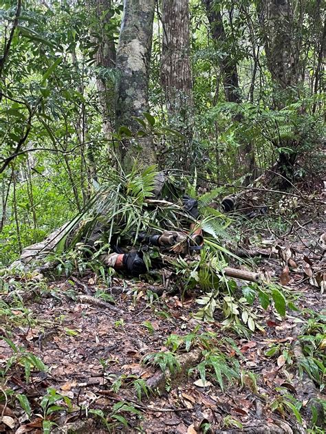 DVIDS Images Green Berets With 1st SFG A Train In Special