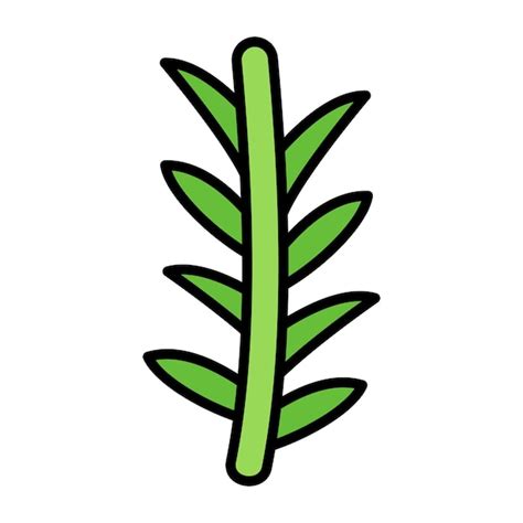 Premium Photo Rosemary Flat Illustration