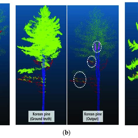 Results Of Class Canopy Trunk And Branch Part Segmentation In Setup