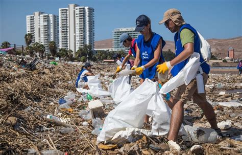 Limpieza De Playas ¿en Qué Se Convertirán Los Residuos Recogidos En