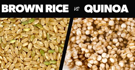 quinoa vs rice