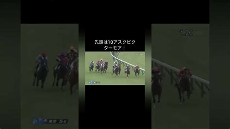 ジオグリフ！ 将来の皐月賞馬の新馬戦 Shorts 競馬動画まとめ