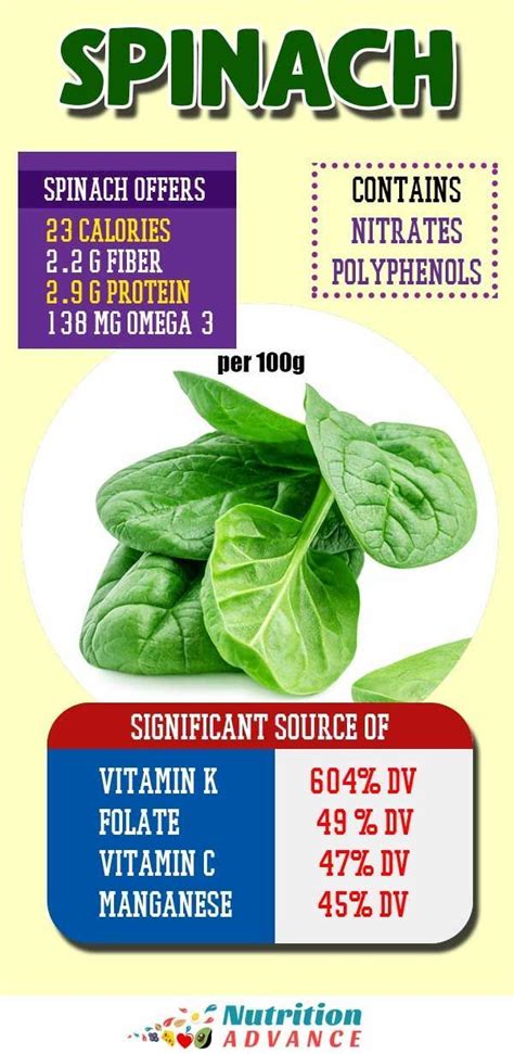 9 Health Benefits Of Spinach And Full Nutrition Facts In 2020