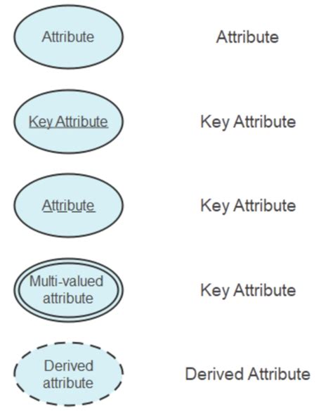 Bank Er Diagram Coding Ninjas