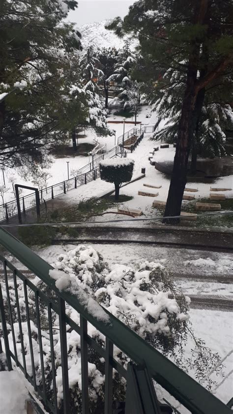 La Neve Imbianca Il Salernitano Scenari Suggestivi A Monte San Giacomo