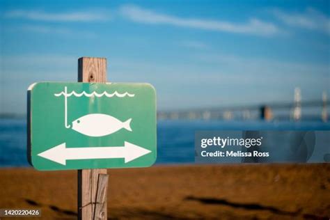 9839 Fish Sign Stock Photos High Res Pictures And Images Getty Images
