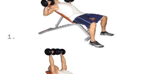 Step Exercises and Fitness: Chest Exercises : step 4 : incline dumbbell ...