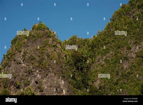 Limestone pinnacle island, Raja Ampat, West Papua, Indonesia Stock ...