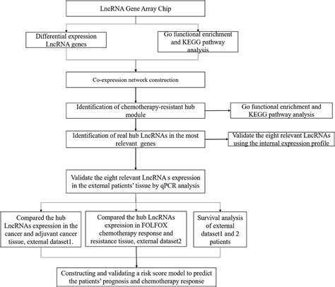 Frontiers Identification Of Lncrnas Associated With Folfox