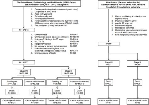 Frontiers Development And Validation Of A New Stage Specific Nomogram