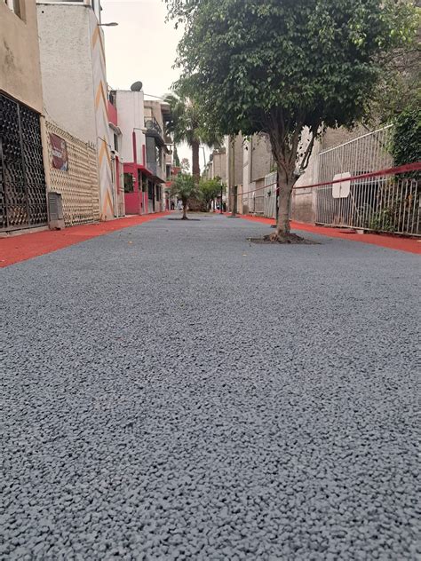 arbolillo 15 Concreto Permeable Ecocreto de México