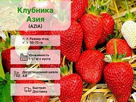 Плодовые купить в Перми