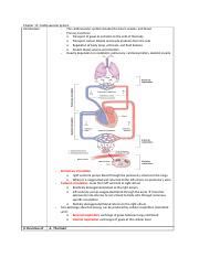 Trans Viva Physio Cardiac Output Venous Return And Their Regulation Pdf