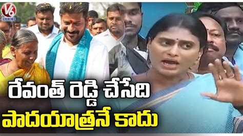 Ysrtp Chief Sharmila Comments On Revanth Reddy Padayatra V6 News