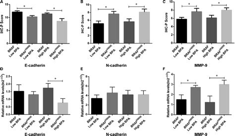 Bpa Exposure Enhanced Emt In Ptc Patients Harbouring Brafv E