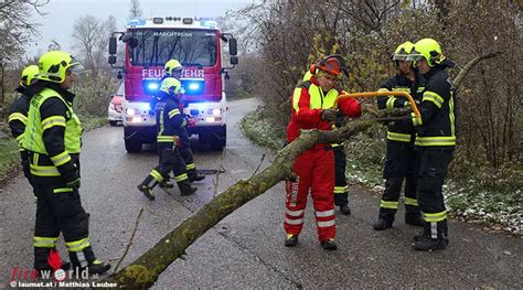 Oö Umgestürzter Baum sorgte für Einsatz der Feuerwehr in Marchtrenk