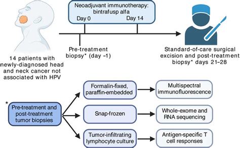 JCI Enhanced Neoepitope Specific Immunity Following Neoadjuvant PD L1