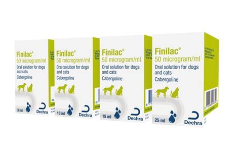 New treatment for false pregnancy in dogs - VetNurse News - Vet Nurse - Vet Nurse