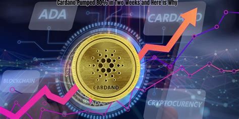 Cardano Pumped 80 In Two Weeks And Here Is Why BlockNews