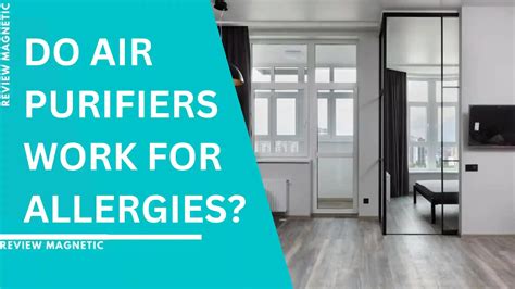 Do Air Purifiers Work For Allergies A Comprehensive Guide