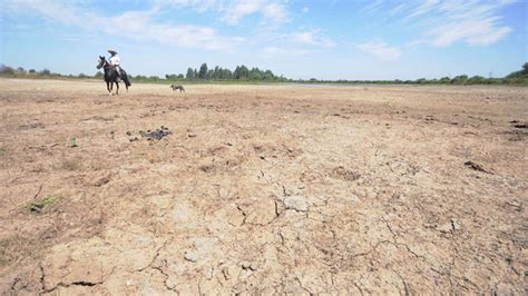 Otra Cara De La Sequía Agricultores De La Cuarta Región Advierten