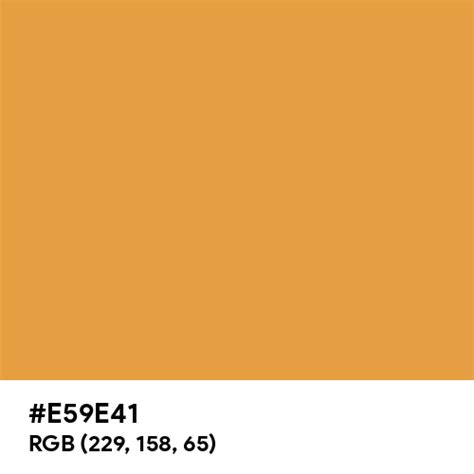 Shiny Bronze color hex code is #E59E41