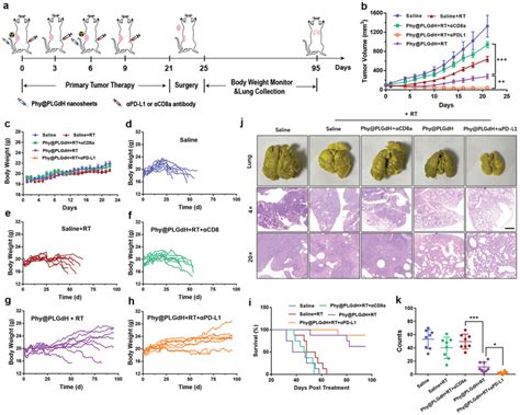 Inhibition Of Metastatic Tumors On 4t1 Breast Tumor Model A Schematic