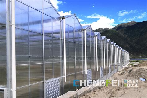 Polycarbonate Greenhouse Factory China Polycarbonate Greenhouse Manufacturers And Suppliers