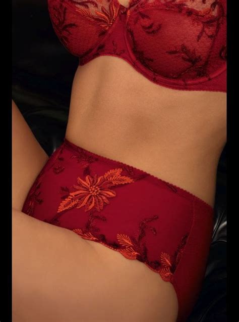 Eprise Aster Aphrodite High Waist Brief Honeys Lingerie