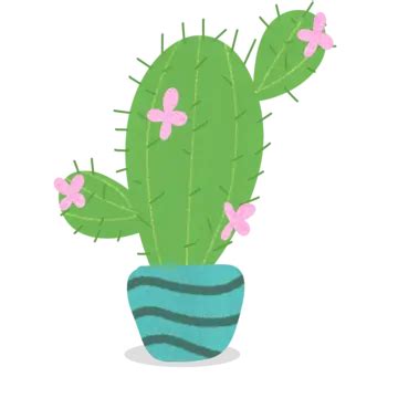 Linda Ilustración De Cactus Vector PNG dibujos Cactus De Dibujos