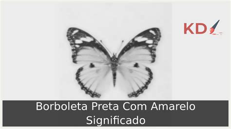 Borboleta Preta Significado Espiritual - Borboleta Preta Com Amarelo: Significado, Transformação e Renovação