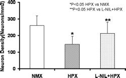 Chronic Fetal Hypoxia Produces Selective Brain Injury Associated With