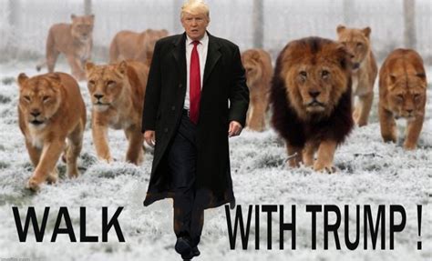 Trump S Truth Social Lion Memes And Pray For A Perfect Man