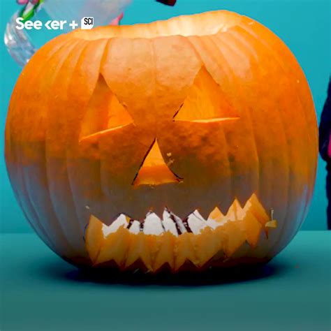 Seeker By The Verge On Twitter The Science Behind Making A Pumpkin