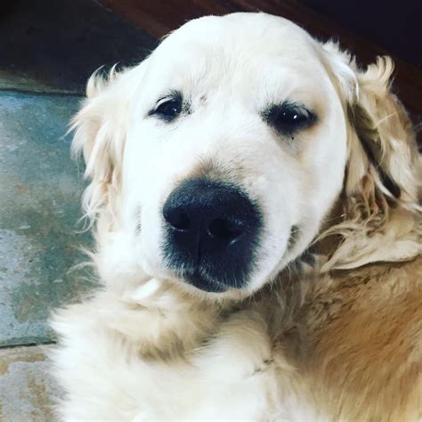 Sean Treacy - Fotografie