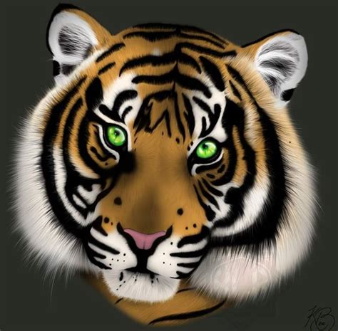 Green Eyed Tiger Drawn By Me Ifunny