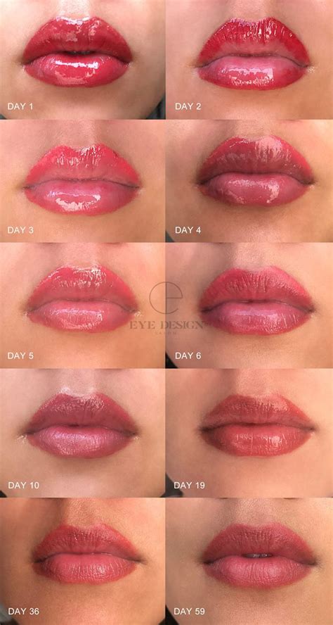 Lip Blushing Healing Stages The Full Day By Day Process