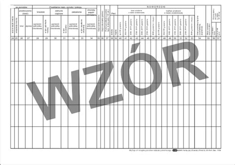 Szp 21 Książka porodów oddziału położniczego A4 AlfaDRUK e sklep