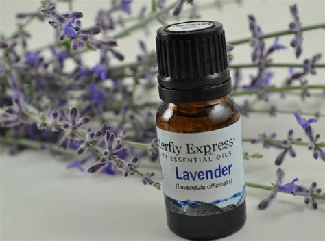 Lavender - Essential Oils to Go