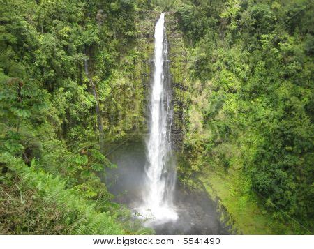 Akaka Falls - Hilo, Image & Photo (Free Trial) | Bigstock