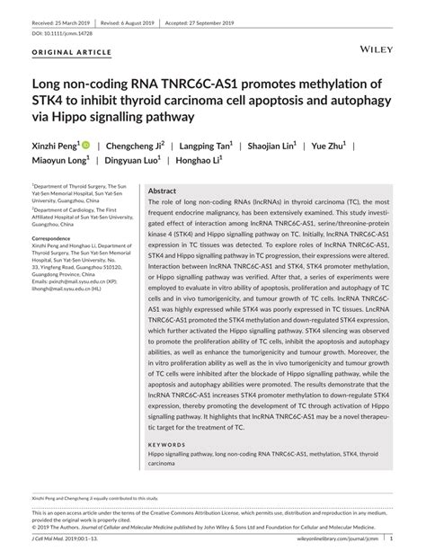 PDF Long Noncoding RNA TNRC6CAS1 Promotes Methylation Of STK4 To