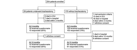 Patient Flowchart Icu Intensive Care Unit Download Scientific Diagram