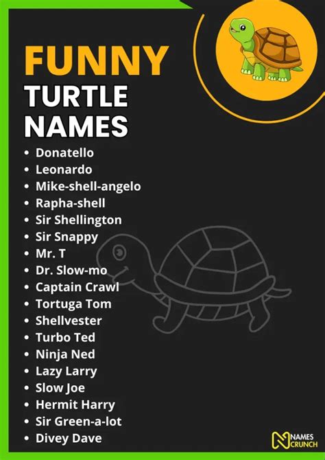 Funny Turtle Names (Clever & Cute Ideas) - Names Crunch